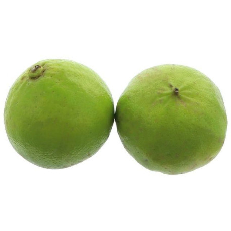 CITRON BERGAMOTE 5KG